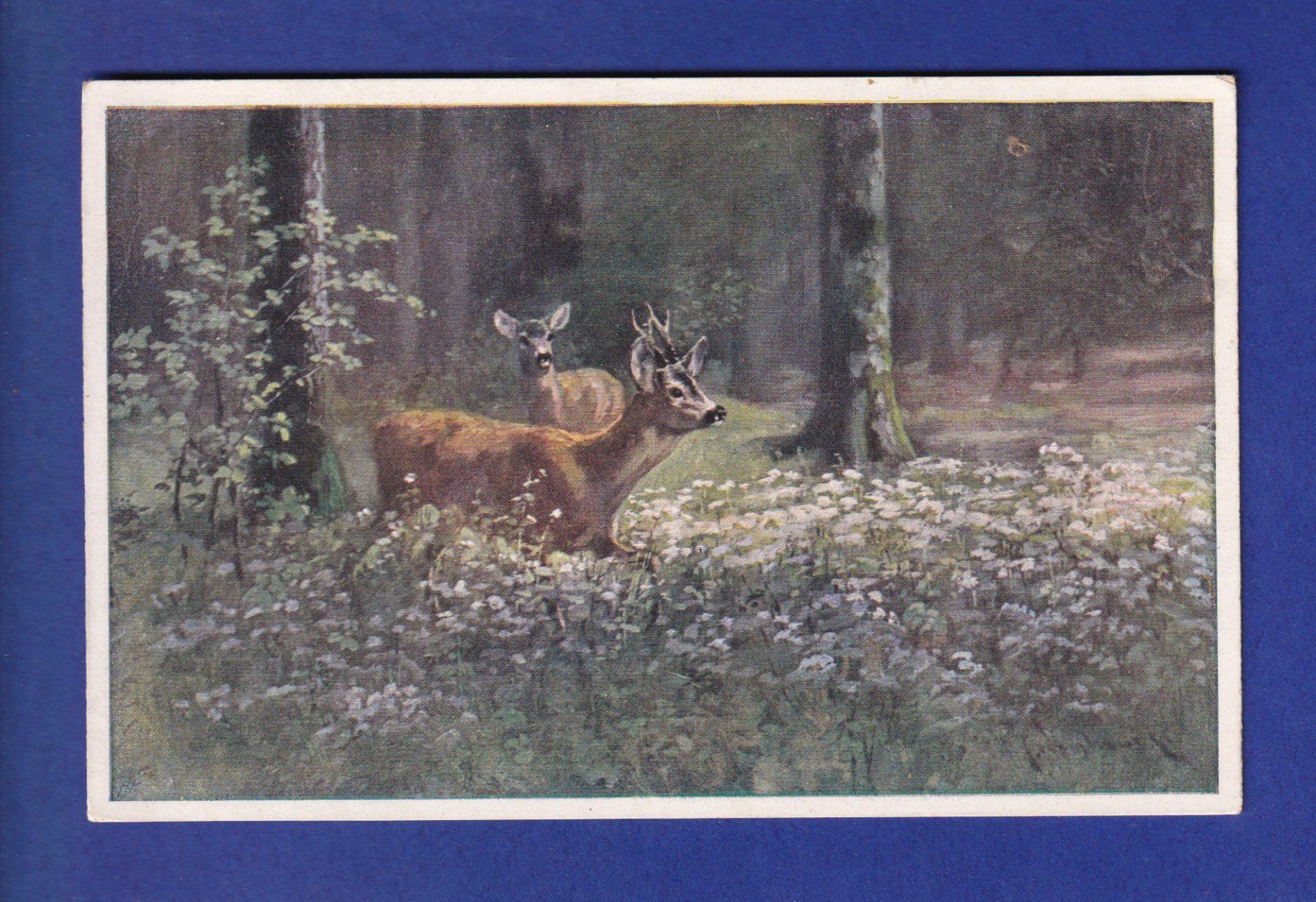 Ansichtskarten: CERF et BICHE – Gebraucht aus Pully von nicecards-shop