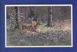 CERF et BICHE