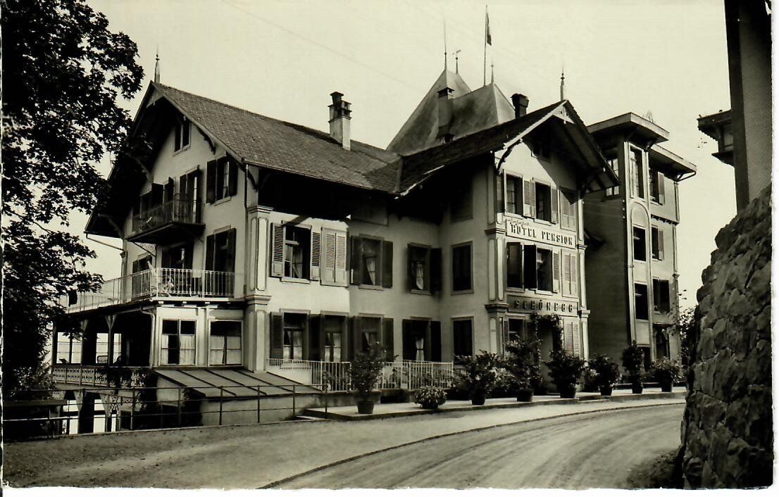 Cartoline postali: Beatenberg Hotel Schönegg – Usato da Hochdorf venduto da Ziegel-16