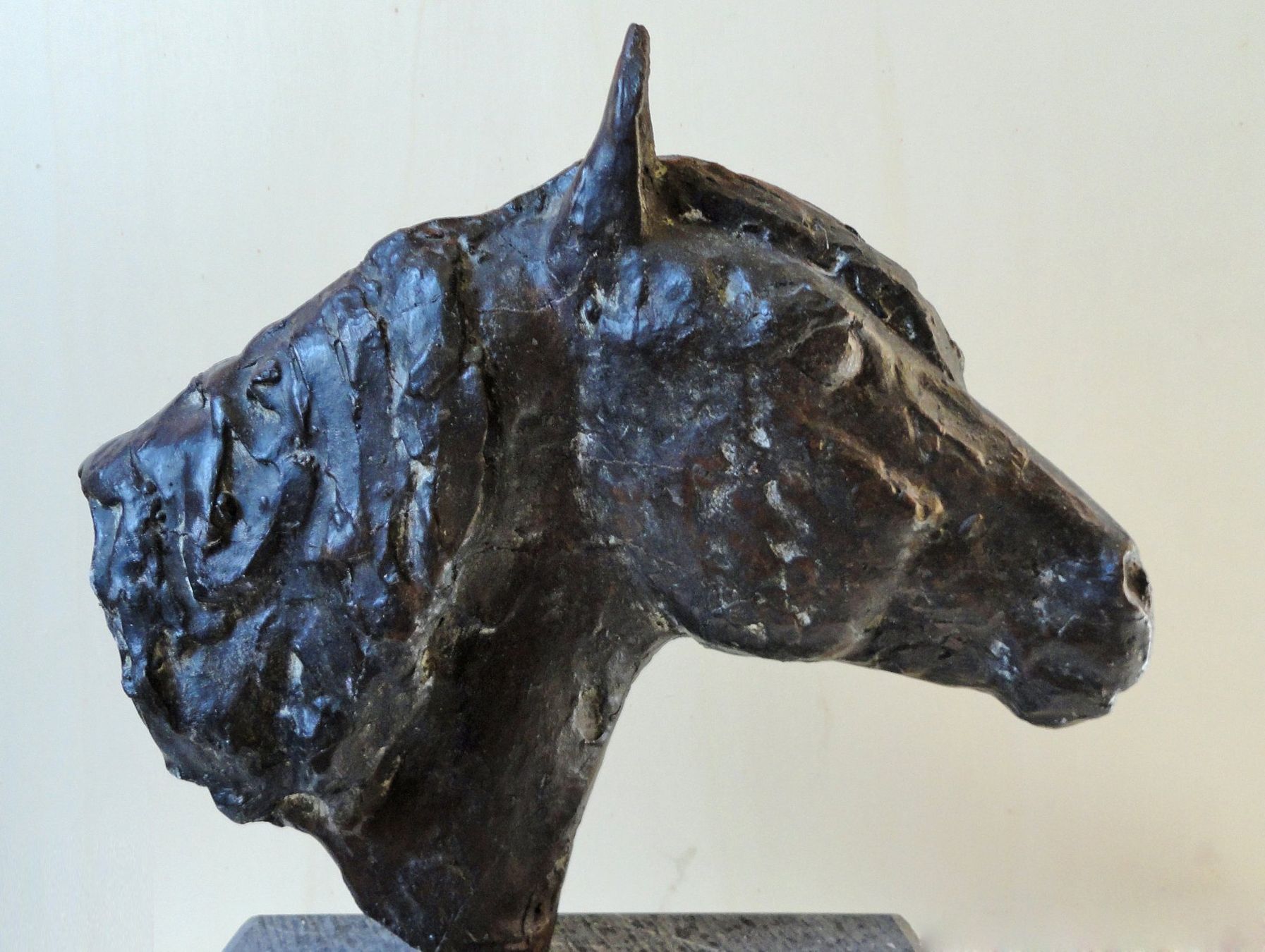 Sculture & Statue: Büste Pferdekopf Bronce auf Mamorsockel – Usato da Schaffhausen venduto da Golom01