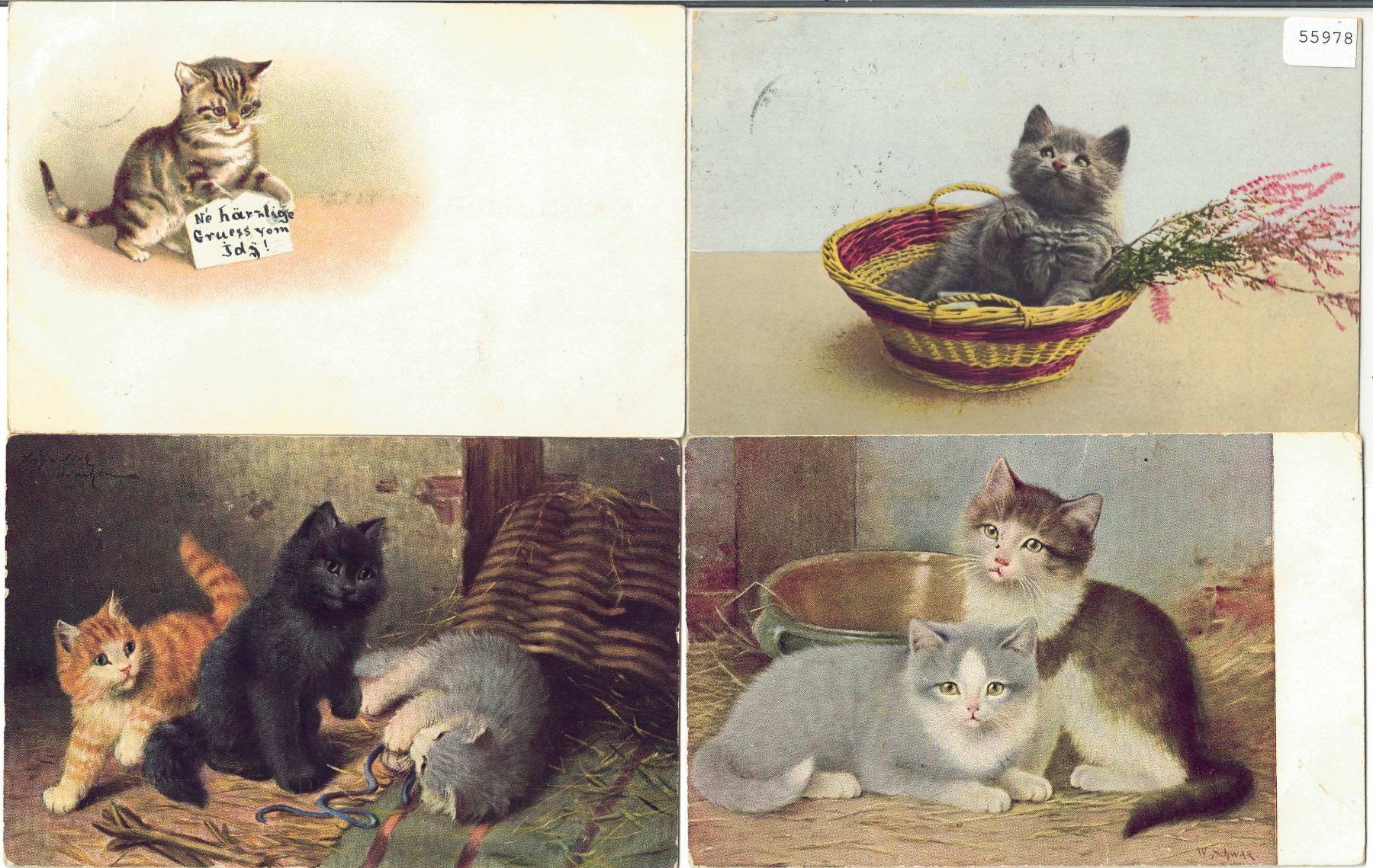 Ansichtskarten: 4 AK - Katzen - cats - chats – Gebraucht aus Ettingen von Kartenplanet