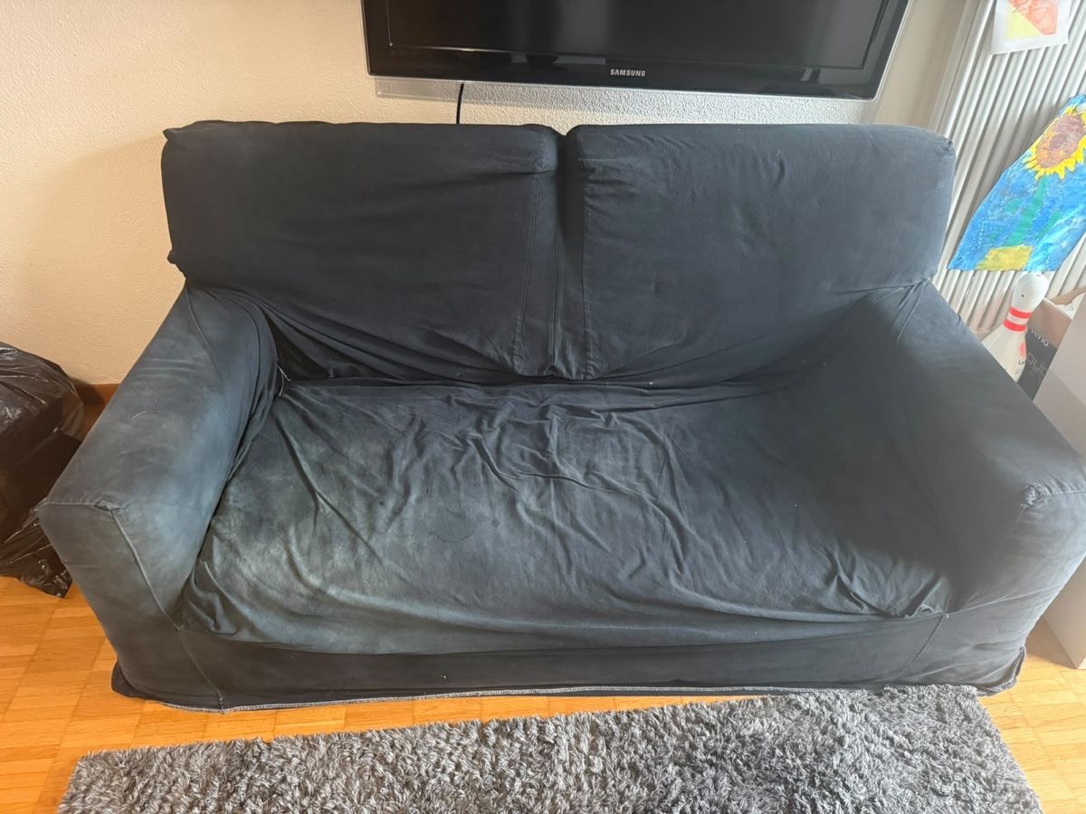 Sofas: 2er Sofa – Gebraucht aus Boppelsen von Dr.Hund 1
