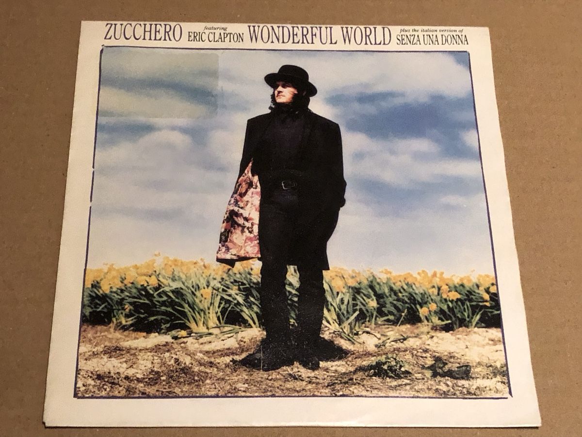 Dischi in vinile: Zucchero & Eric Clapton. 1990. Wonderful World – Usato da Faulensee venduto da Mizuno06 1