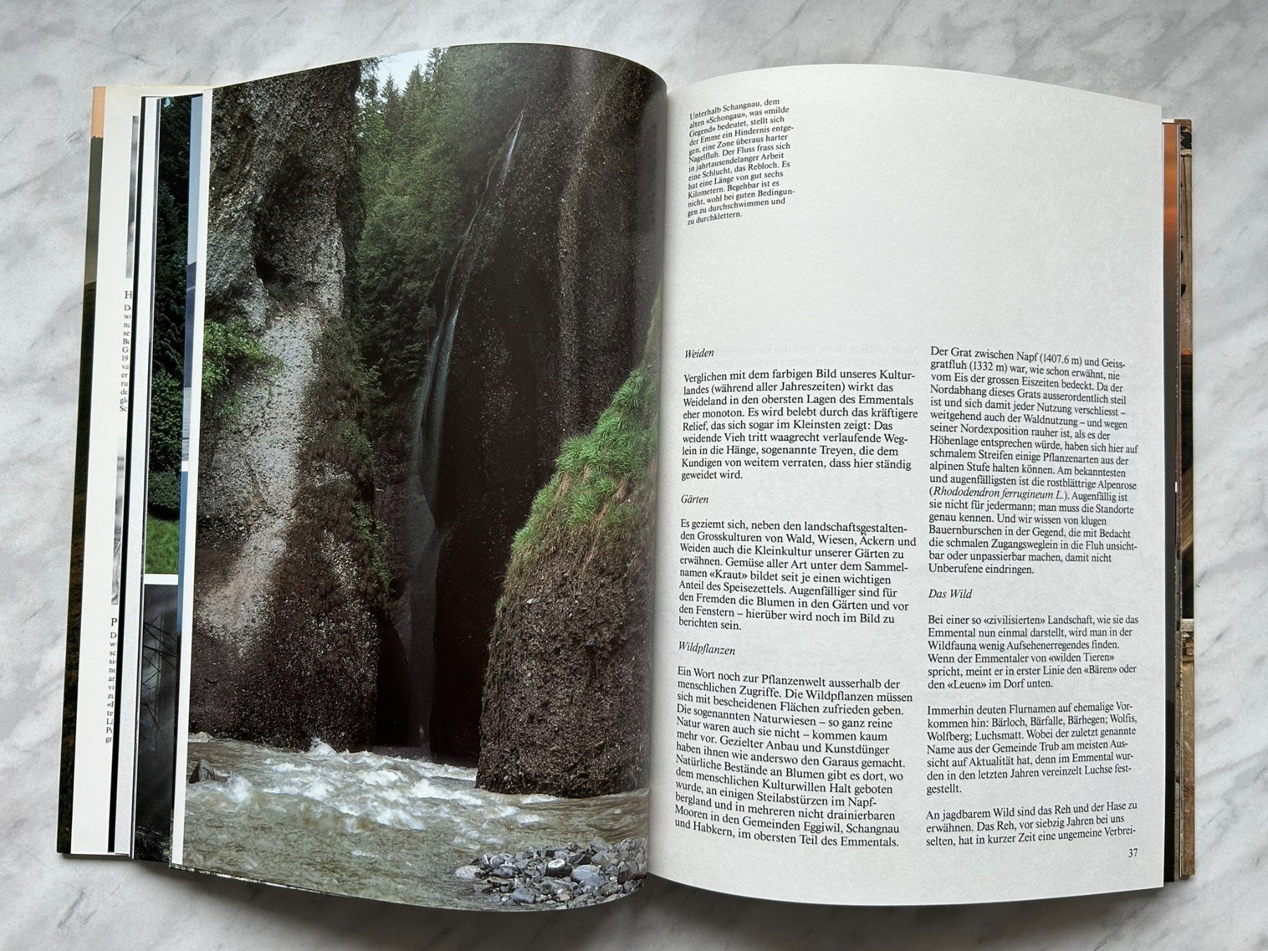 Libri: Emmental von Hans Schmocker Peter Studer – Usato da Mirchel venduto da buecher_wurm 5