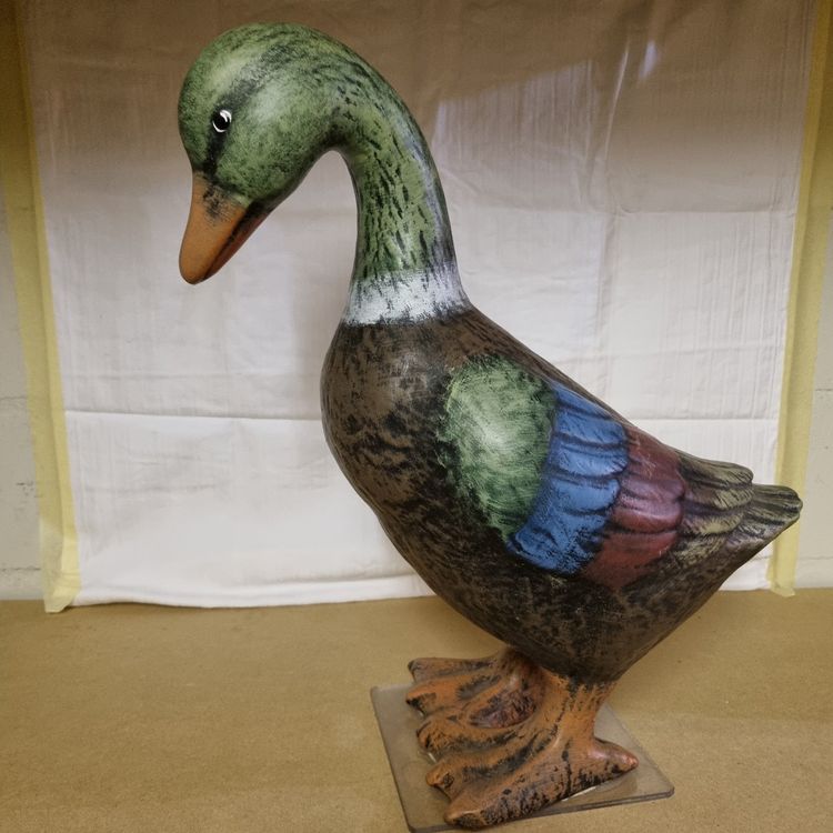 Ente Kaufen auf Ricardo