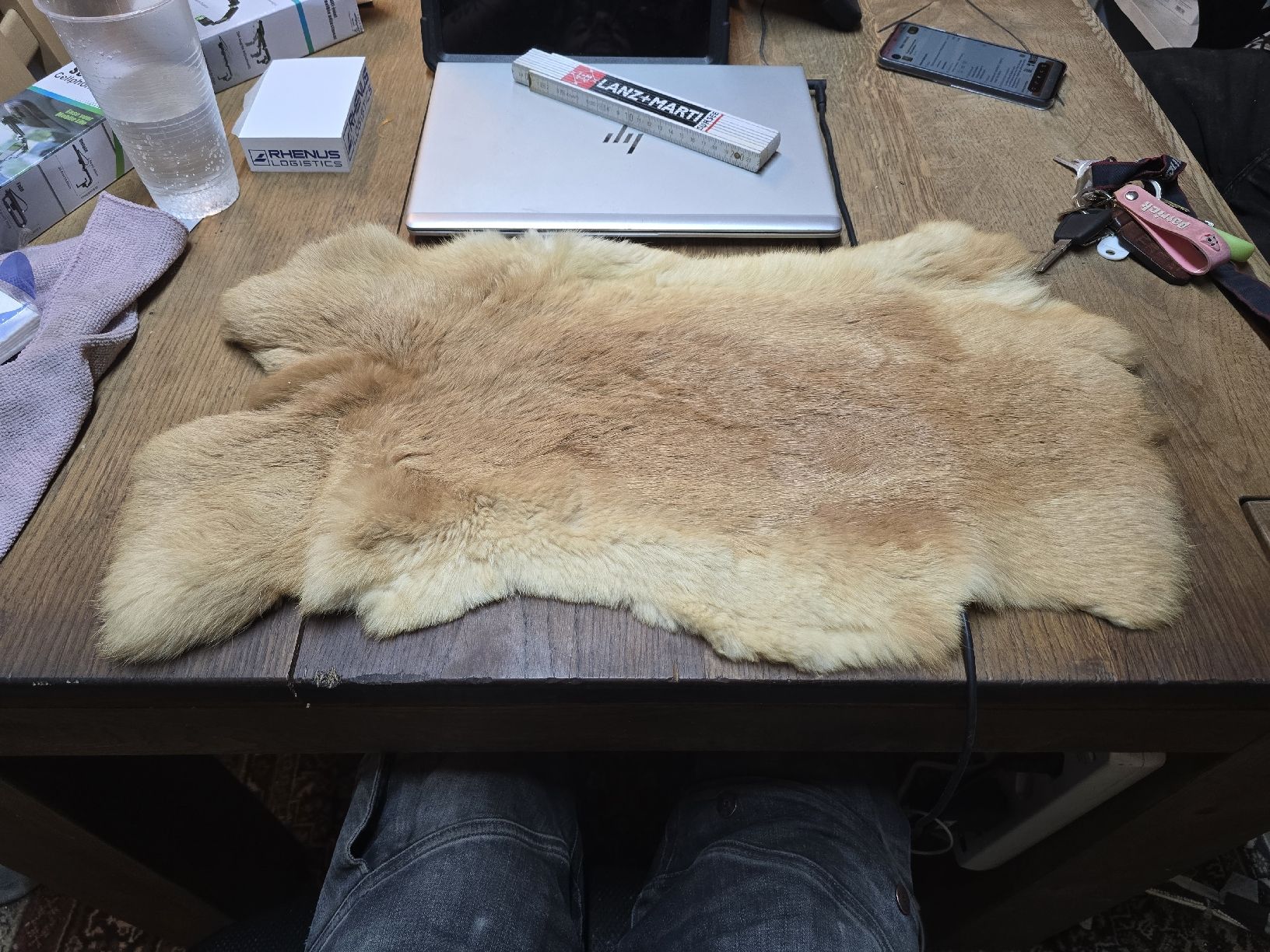 Welt der Tiere: Echtes Kaninchenfell hellbraun (F1)  – Gebraucht aus Rorschach von TimelessTrading