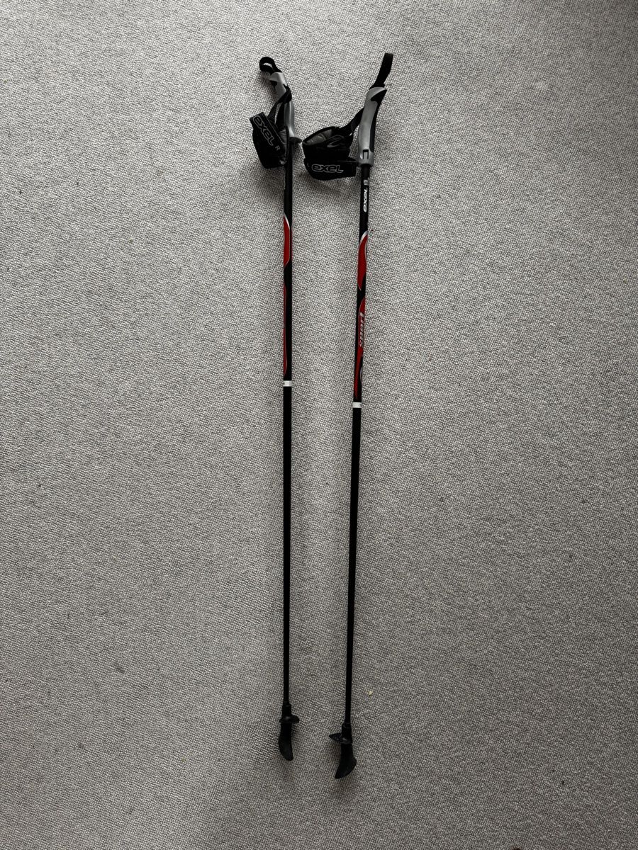 Exel Bastoncini da trekking: Exel Nordic Walking Stöcke, 120cm – Usato da Basel venduto da spassbremse