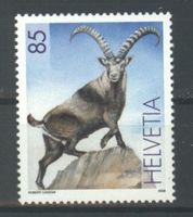 2006, Wiederansiedlung Steinbock **