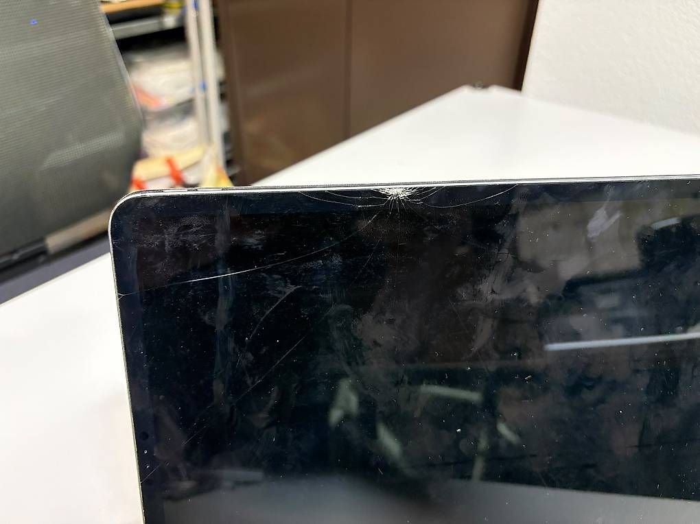 Apple Tablet PC: iPad Pro 12.9" 4. Generation (A2232) – Usato da Ostermundigen venduto da BaerOmu 2