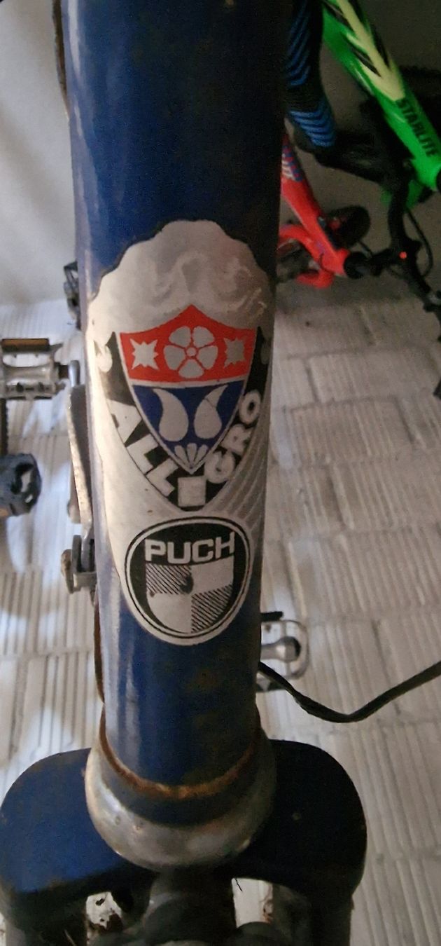 Puch Velos: Velo Puch Allegro – Gebraucht aus Lyss von  5