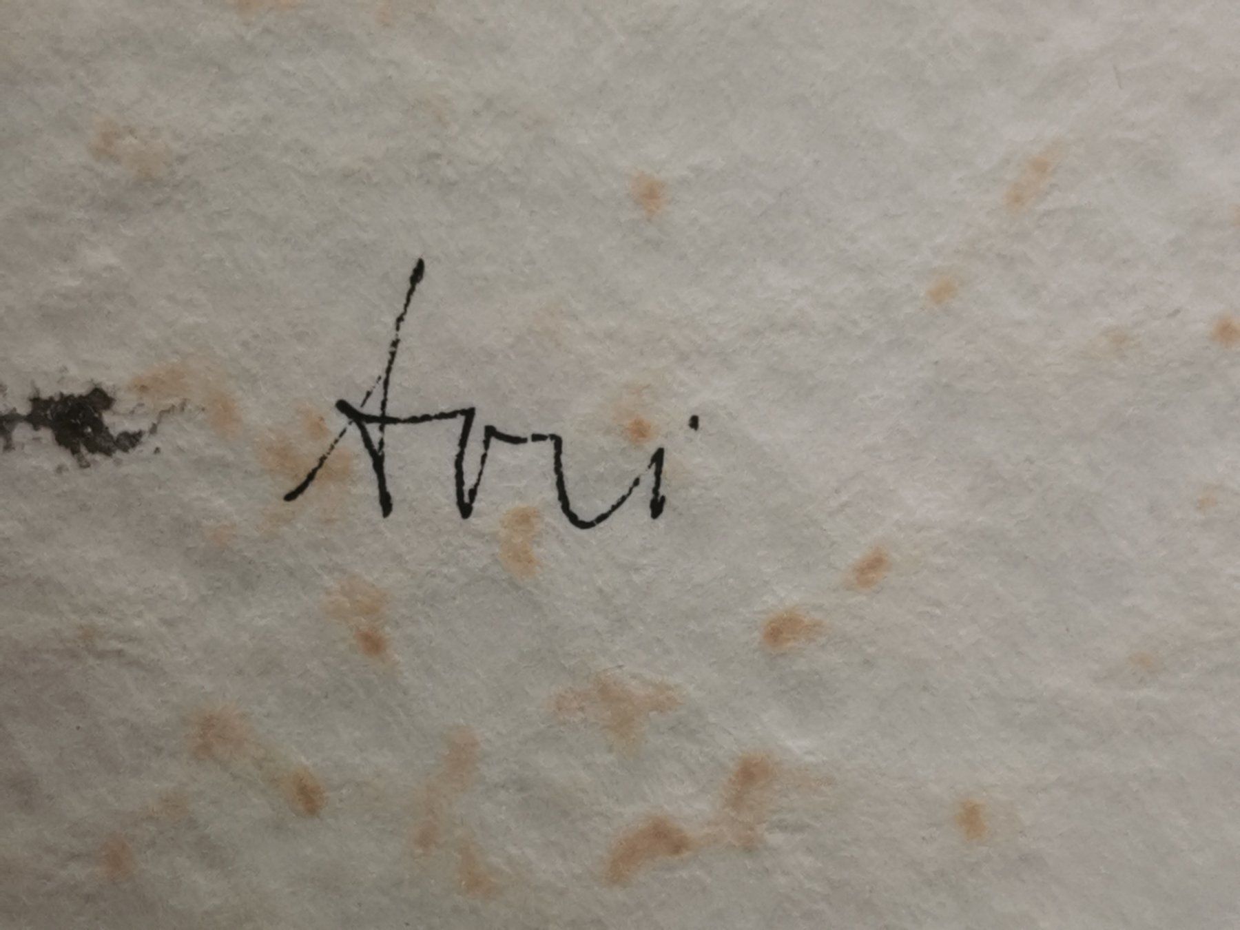 Dipinti: TABLEAU SIGNÉ SIGNATURE ILLISIBLE – Usato da Genève venduto da Qanil77 3