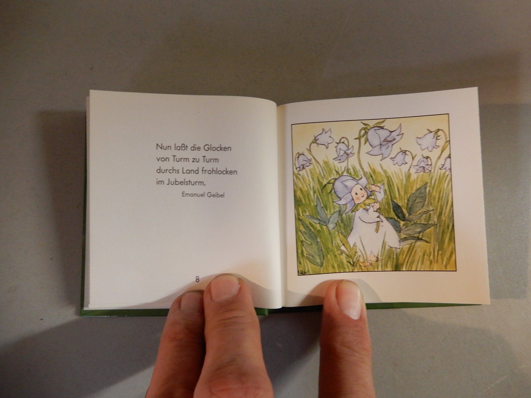 Libri: Blumenkinder - Die kleine Freude - ars edition Buch – Usato da Erstfeld venduto da Mario_boe0 5