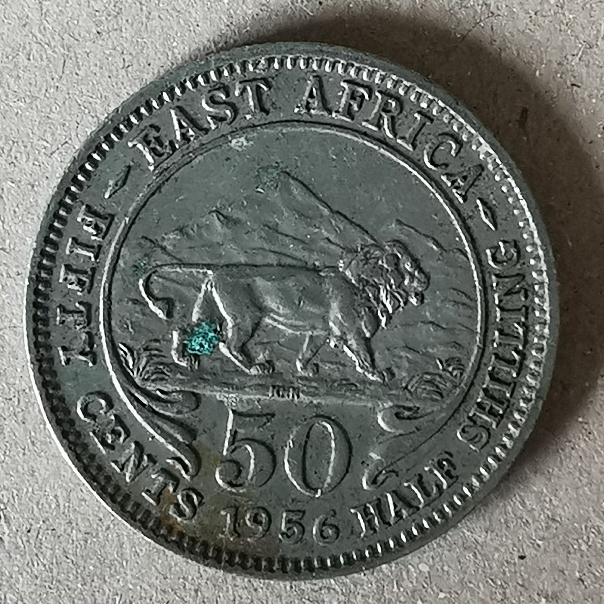 Tutti le monete: East Africa 50C 1956 – Usato da Ittigen venduto da Guglu007