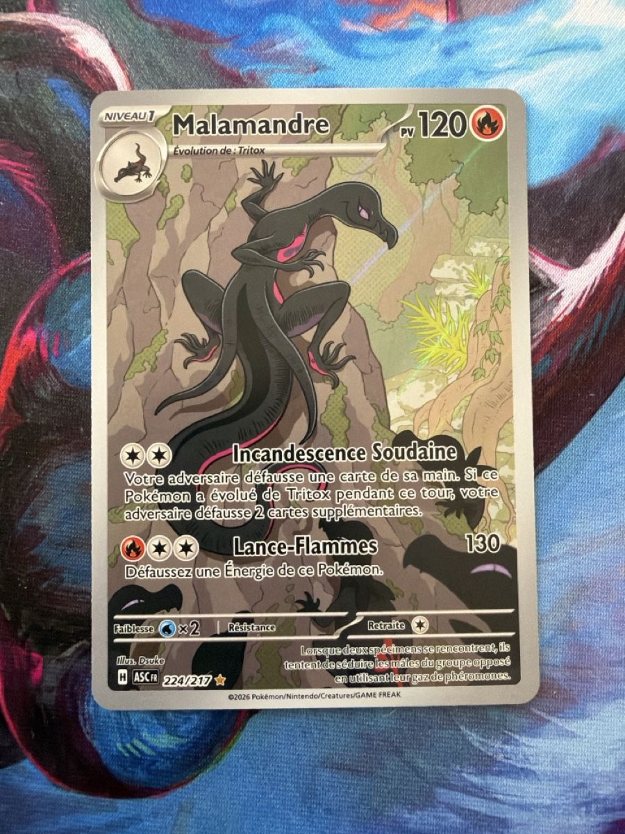 Pokémon Carte collezionabili: POKEMON - Malamandre 224/217 - ASC FR – Nuovo (secondo la descrizione) da Etoy venduto da Neressini