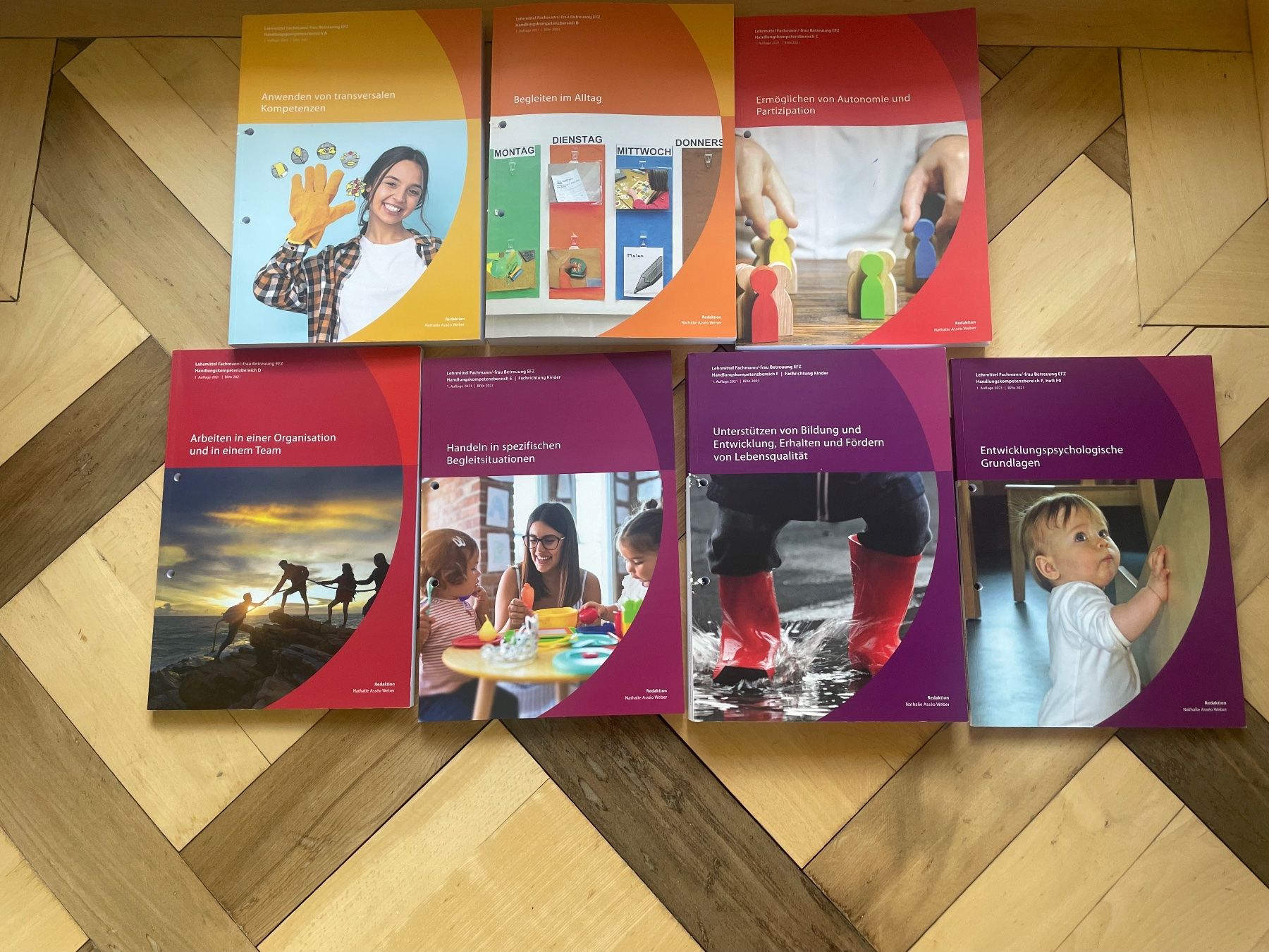 Bücher: FaBe Kinder Lehrmittel (aktuelle Version BiVo 2021) – Gebraucht aus Zürich von Jennifer8704