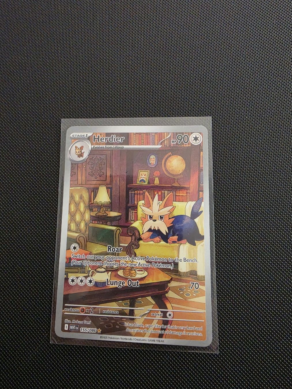 Pokémon Carte collezionabili: Herdier- WHT 155 ENG Pokémon  – Nuovo (secondo la descrizione) da Luzern venduto da heini81
