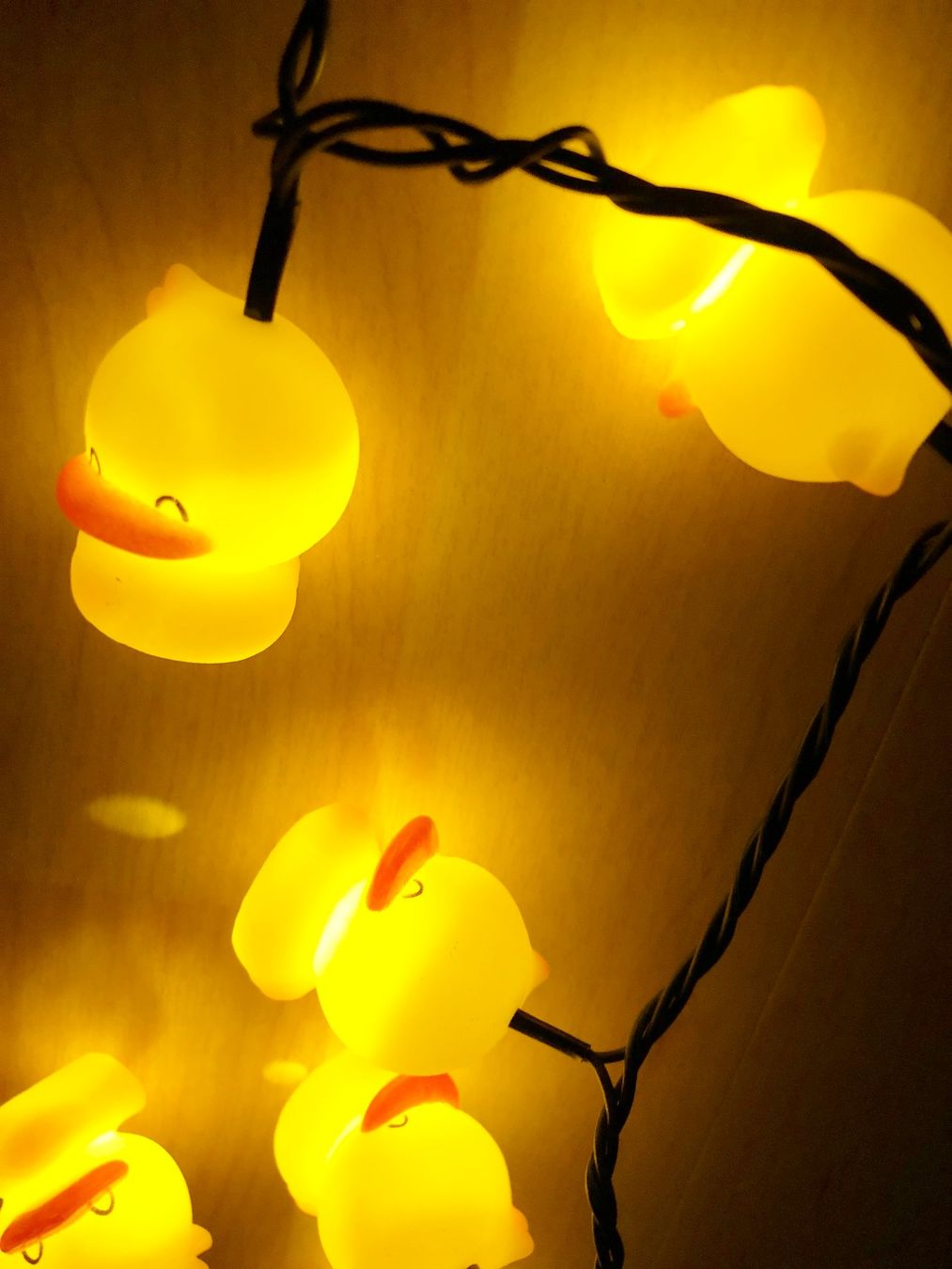 Ghirlande e barre luminose: Lichterkette mit Enten – Nuovo (secondo la descrizione) da Glattbrugg venduto da Ariel012 1