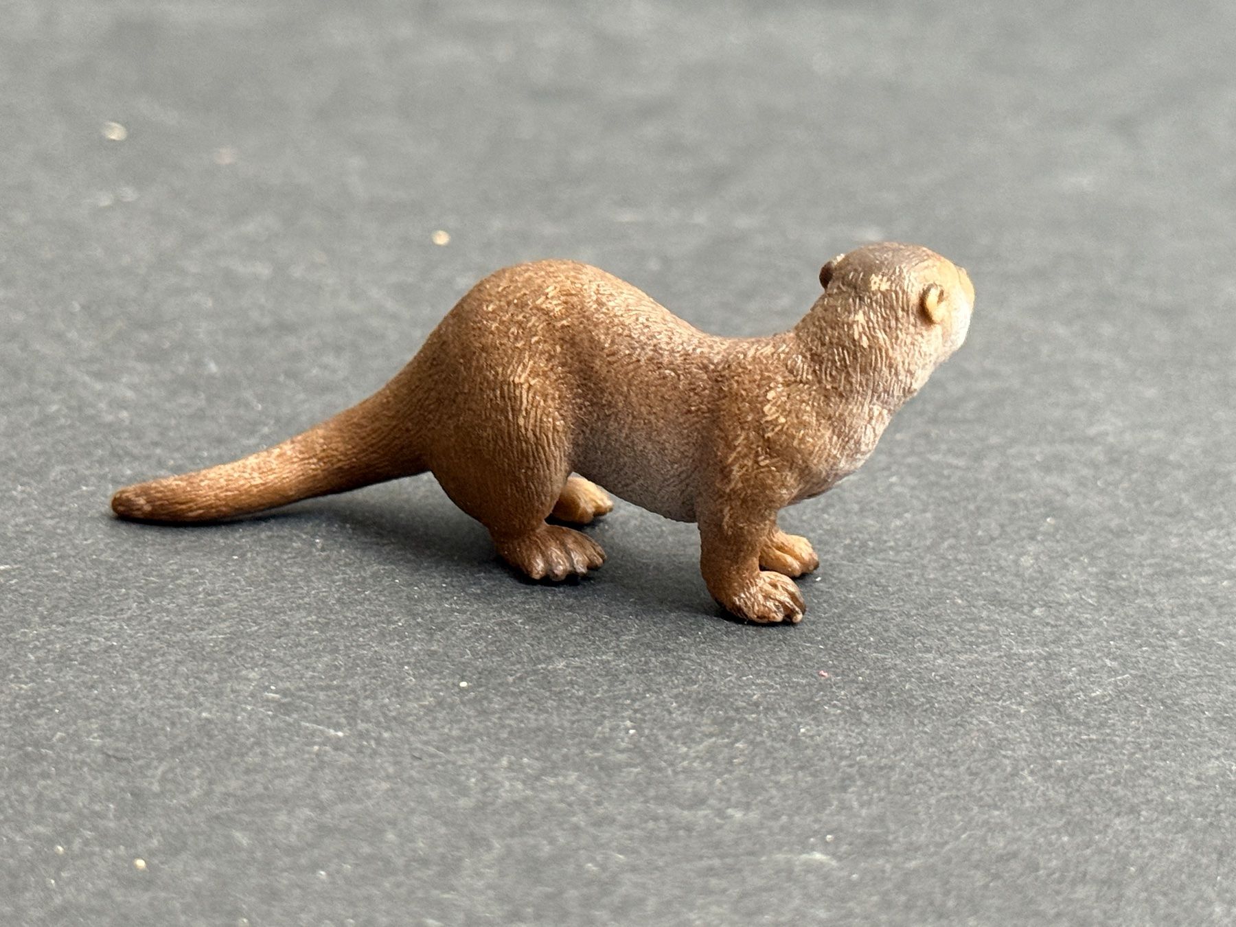 Schleich Statuette: Schleich Otter Tier Schleichtier – Usato da Ennetbaden venduto da mapa05 2