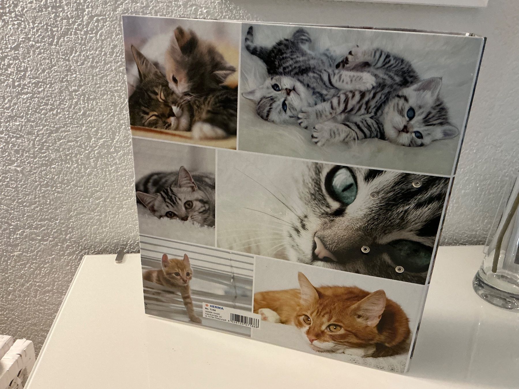 Raccoglitori: Katzen Ordner neu – Nuovo (secondo la descrizione) da Würenlos venduto da Starceve 1