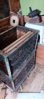 Alte Bienenkiste/Bienenbeute aus Holz und Stroh
