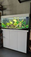 Aquarium Juwel mit Unterschrank weiss guter Zustand