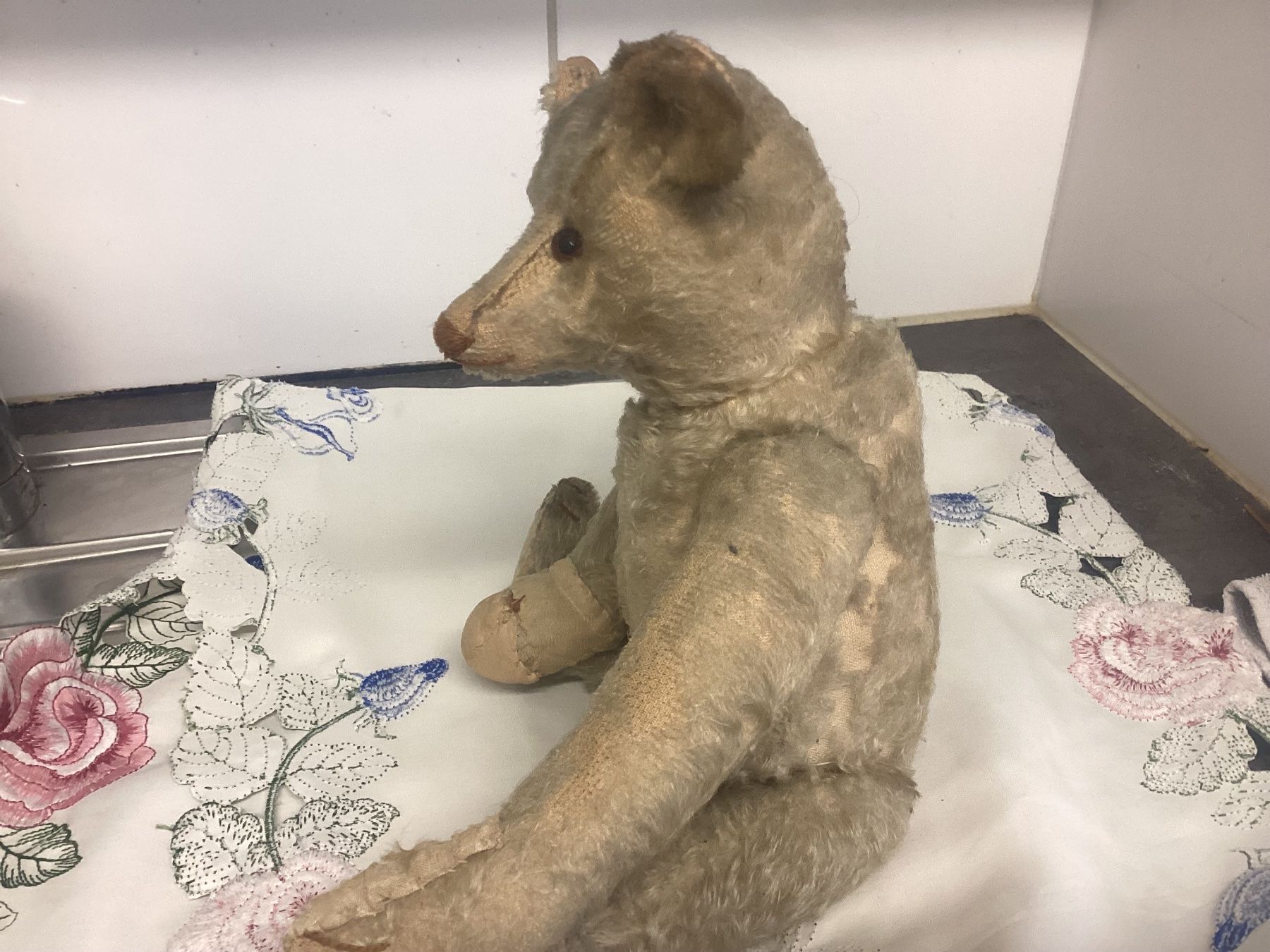 Steiff Jouets: ANTIKER STEIFF TEDDY VORKRIEG – D'occasion à Münchenstein par NoSu98 6