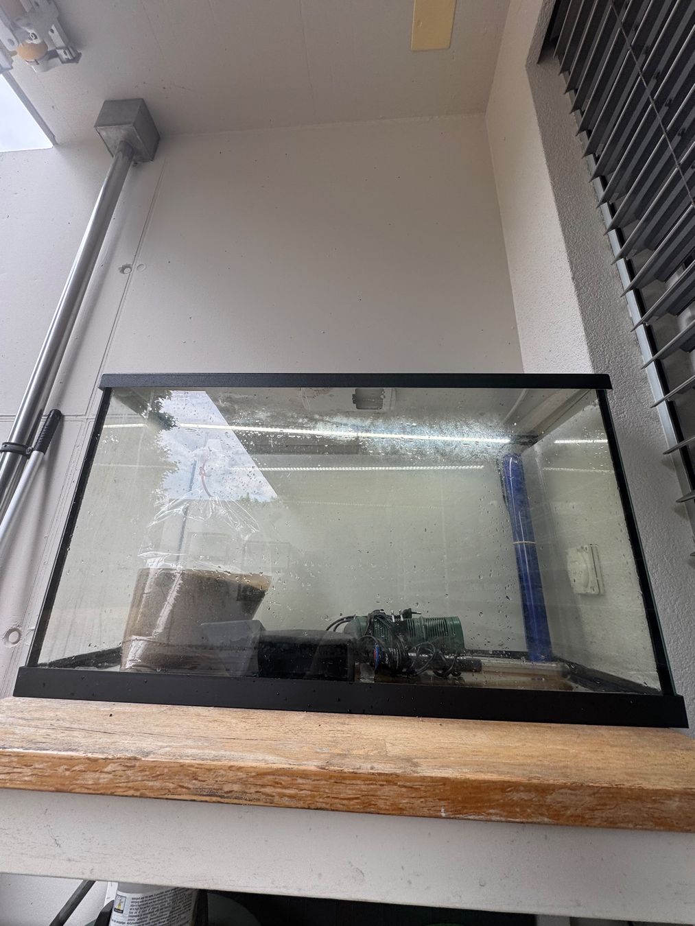 Eheim Acquari: 126 Liter Einsteiger/Gesselschaftsaquarium – Usato da Zollikofen venduto da cibinkkuruvilla 1