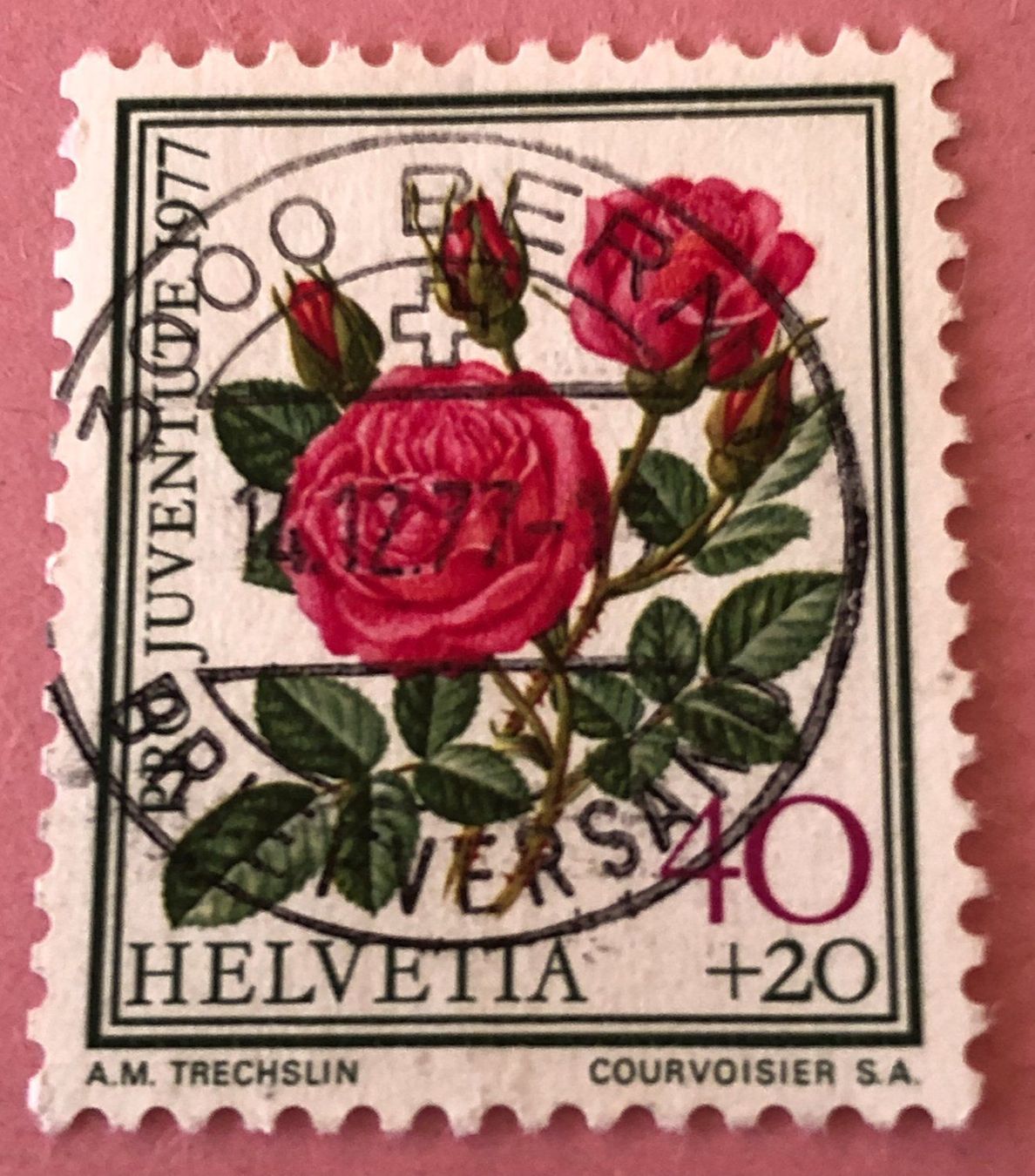 Tutti i francobolli: Nr.J 262 mit Vollstempel Bern – Usato da Aarau venduto da Billa007