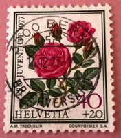 Nr.J 262 mit Vollstempel Bern