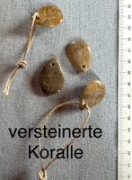 4 x Anhänger  Fossil Stone  versteinerte Koralle UNIKATE