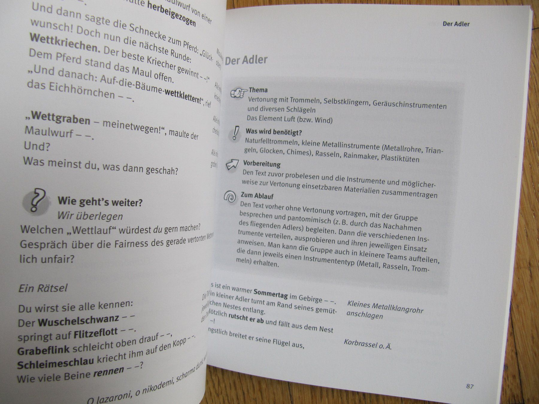 Bücher: Liederbuch Trommelklang Geschichten / Elmar Müller – Neu (gemäss Beschreibung) aus Würenlos von AustralisZ 2