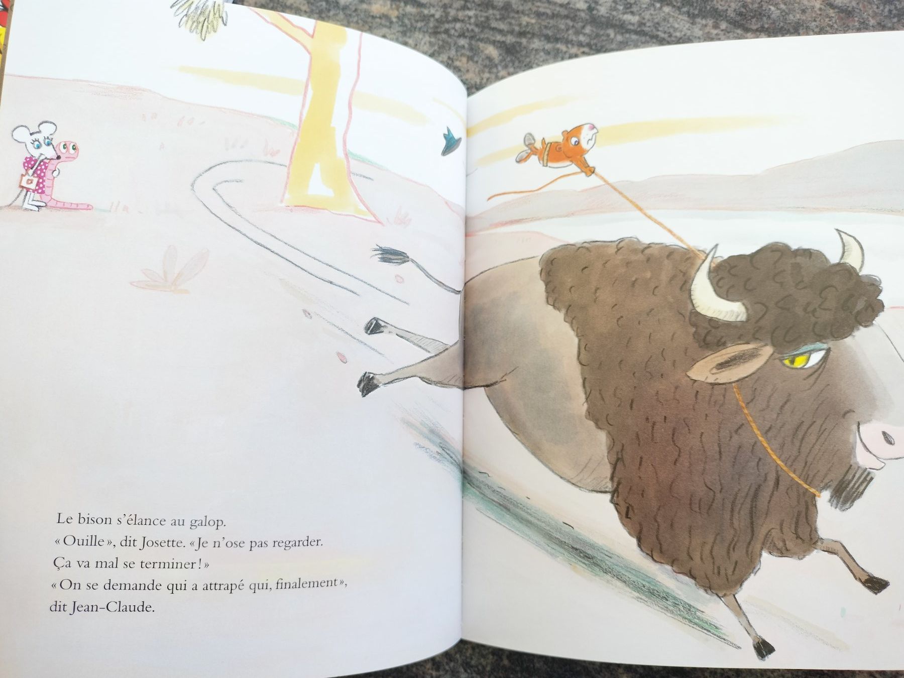 Libri: Le bison Catharina Valckx – Usato da Cortaillod venduto da rozinna 8