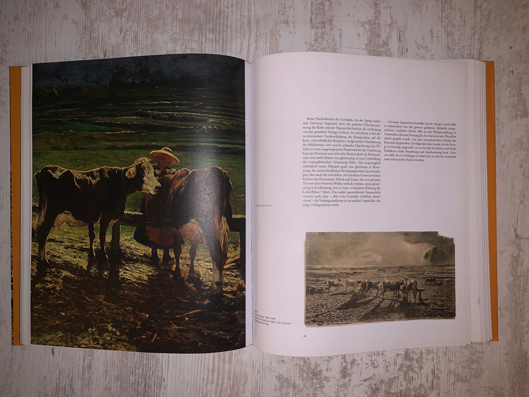 Libri: Buch Giovanni Segantini / Scheidegger & Spiess / B. Stutzer – Usato da Belp venduto da aprico 2