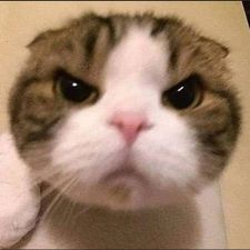 Profile image of Piko-piko