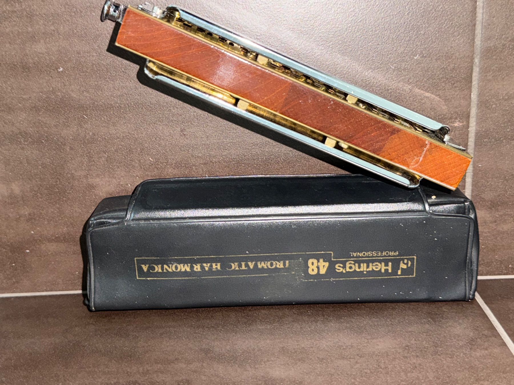 Hohner Strumenti musicali: 2er Set M. Hohner Mundharmonika Chromatica, Echo Vintage – Usato da Hellbühl venduto da Rodgers67 6
