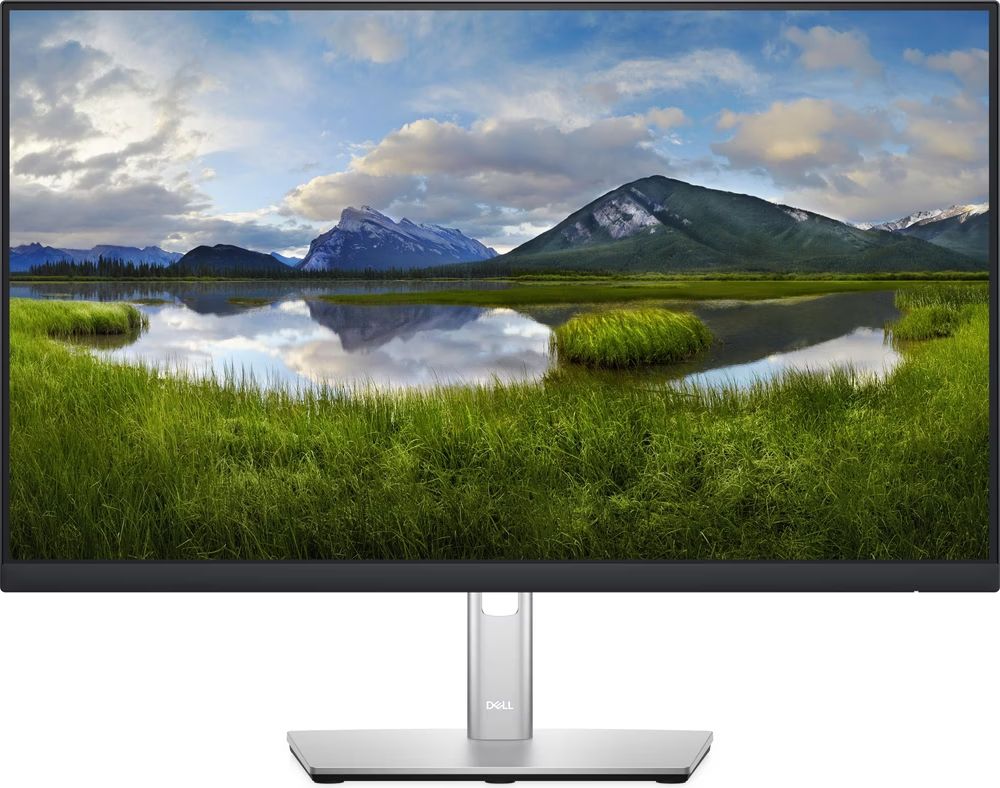 Dell Monitor: Monitor Dell P2422H – Usato da Luzern venduto da napolibobi 1