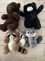 5 Plüschtiere Bären und Waschbären diverse Grössen gebraucht