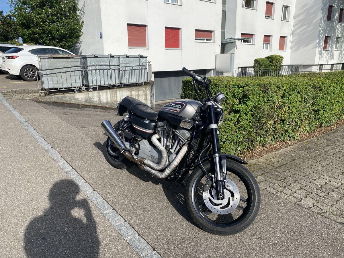 Harley-Davidson Chopper: Harley-Davidson XR1200 – Usato da Rümlang venduto da Capristo069 1