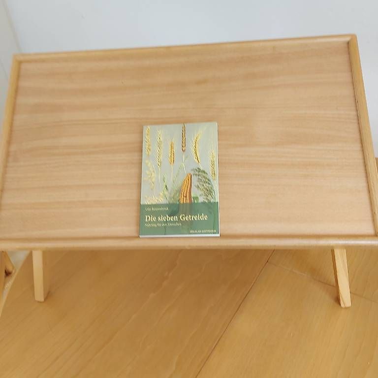 Tavoli: Beistell-Tischchen / Bett-Tablett – Usato da Hunzenschwil venduto da Florance 2