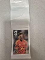 WM Panini cocacola Lamine Yamal 