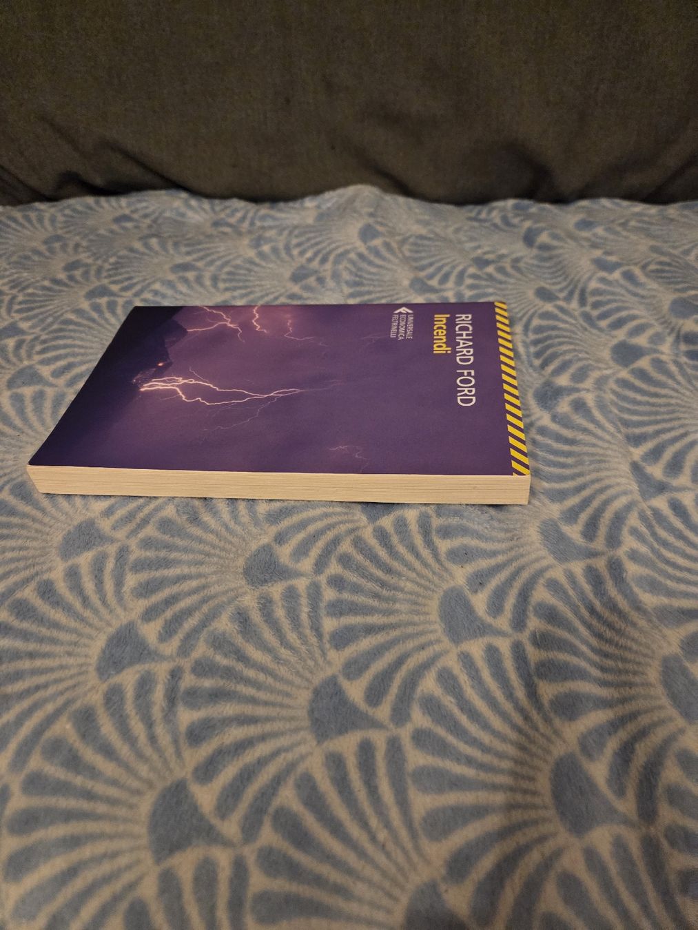 Libri: Richard Ford - Incendi, Feltrinelli – Usato da Nyon venduto da direwolf97 3