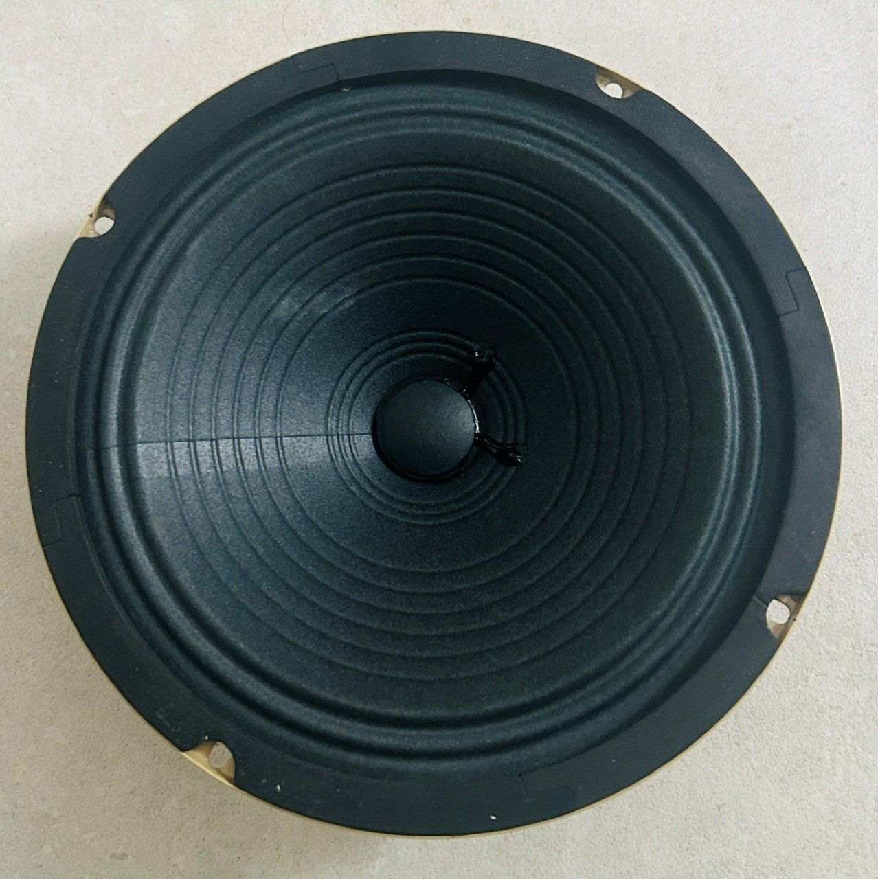 Casse acustiche: Mojotone Anthem 8", 15Watt, 8 Ohms Speaker – Usato da Aesch BL venduto da viva6666 2