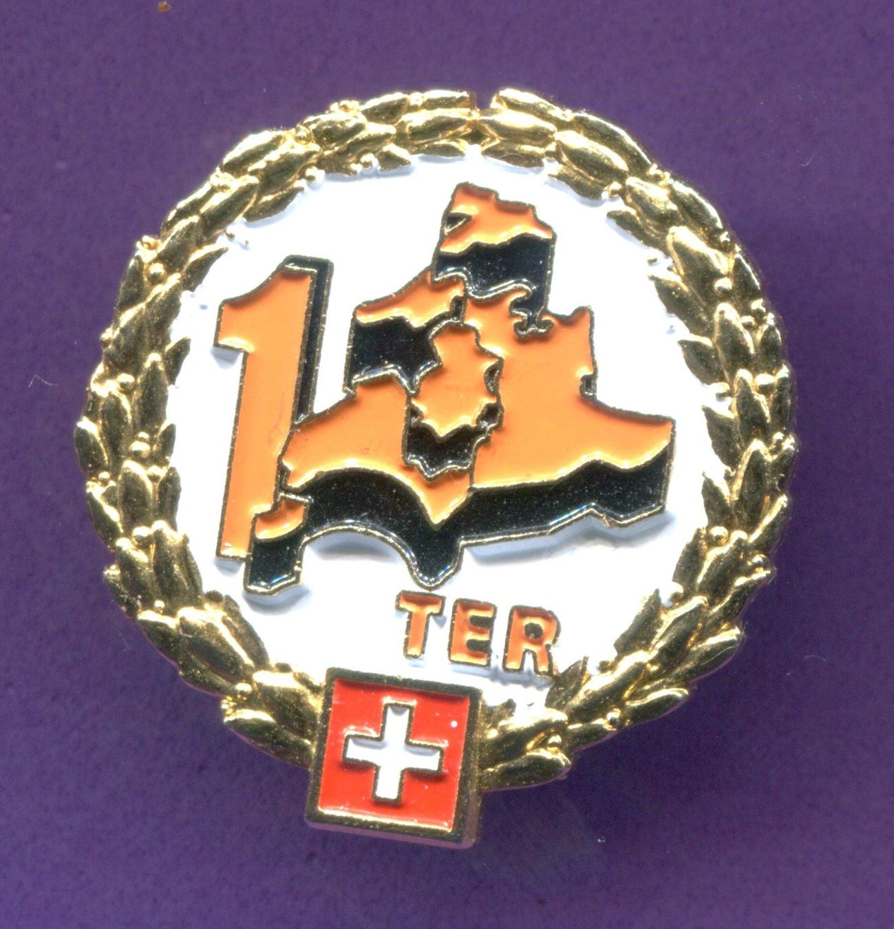 Plaquettes & Badges: TER  Schweiz – D'occasion à Winterthur par Sammleroase