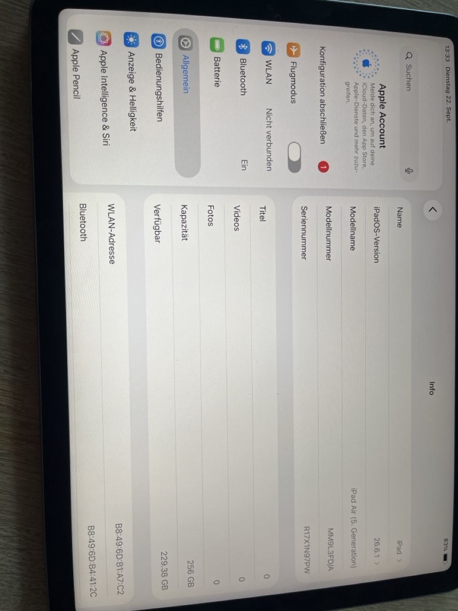 Apple Tablet PC: Ipad Air, 5. Generation, 256 GB – Usato da Zürich venduto da jul_dpt5 1