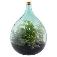 Pflanzenterrarium 55L/Plant Terrarium/Pflanzen/Neu/OVP