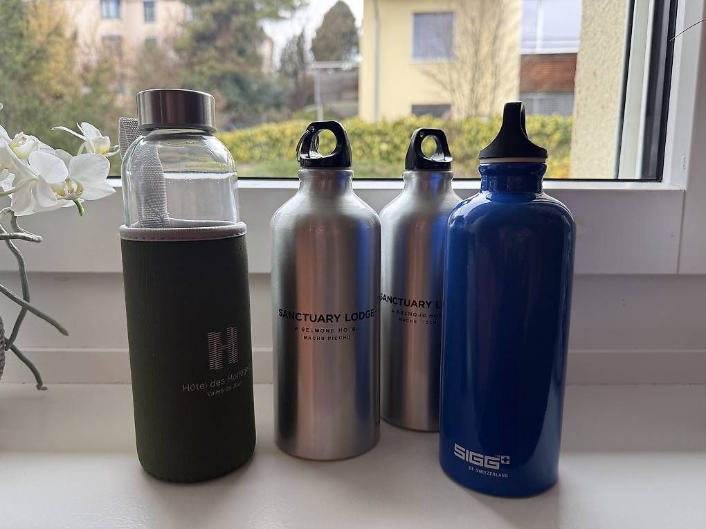 Borracce & Thermos: 4 Stk Wasserflaschen Trinkflaschen 0.5l – Usato da Zürich venduto da Allwelcome