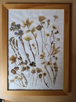 Gerahmte Trockenblumen Collage Grösse A4 guter Zustand