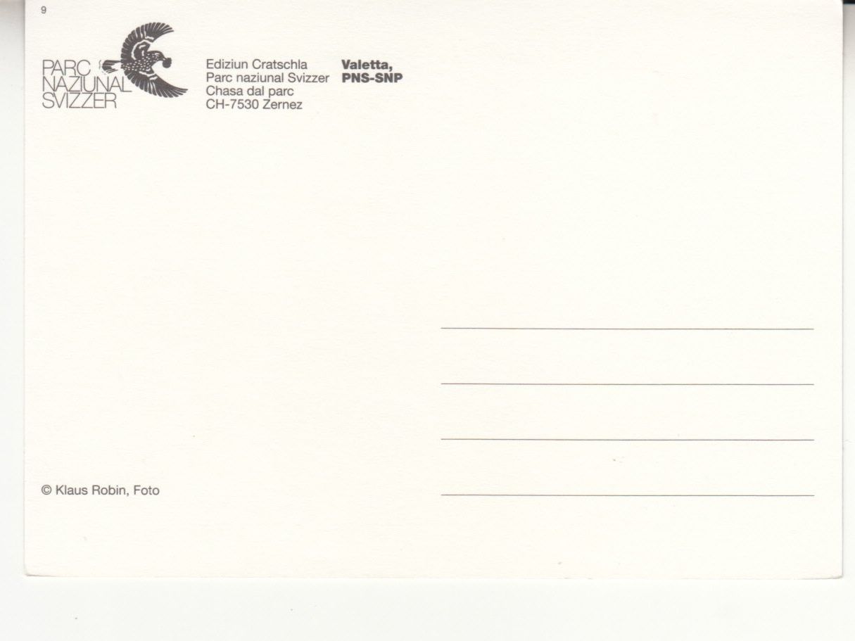 Cartoline postali: Zernez Nationalpark ca. 1980 – Usato da Bürglen TG venduto da StampGraf 1