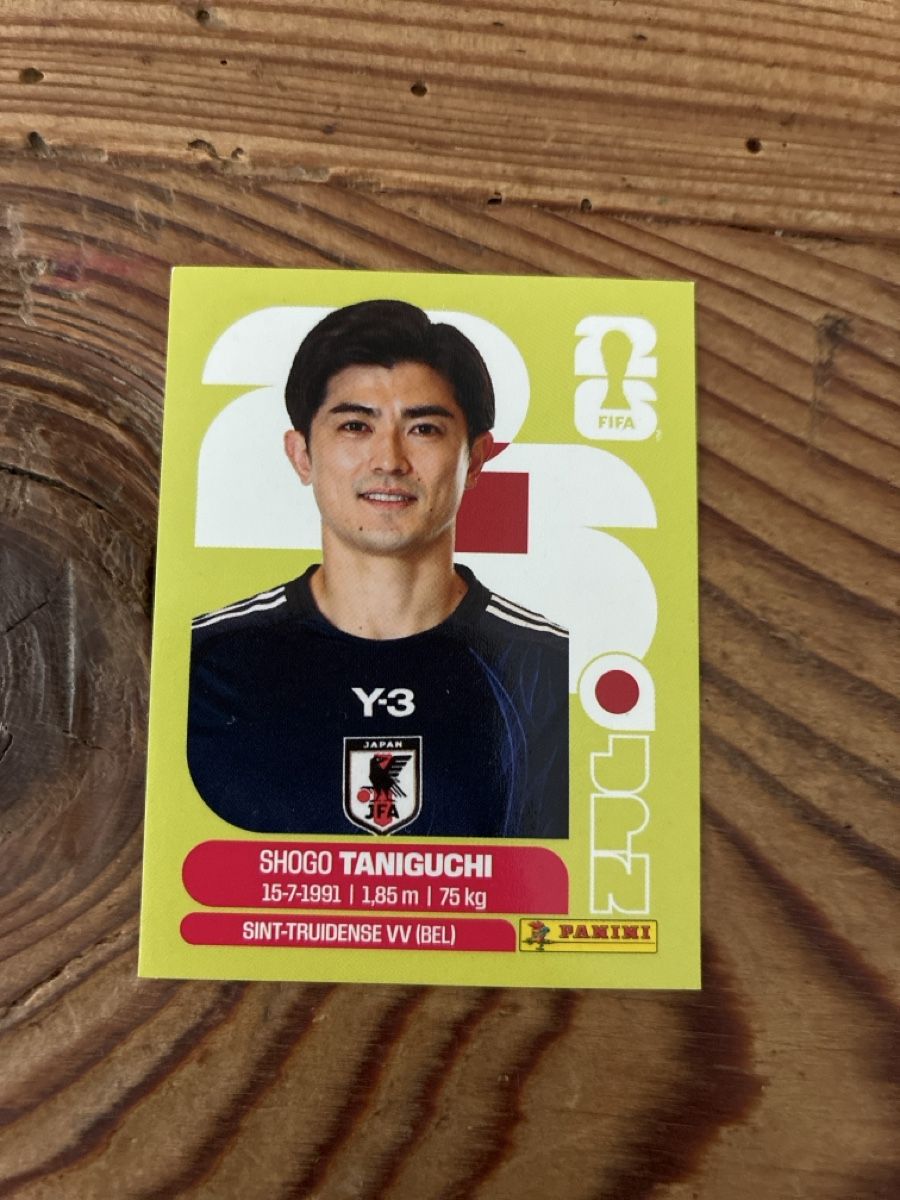 Panini Carte collezionabili: Panini JPN 6 – Usato da Bern venduto da dvg11