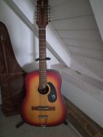 Gitarre 12 Saiten